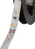 LEDS-B Striscia LED calda 5m 24513 Kanlux IP65 12V Anteprima dell’immagine prodotto 2