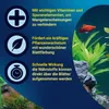 Tetra PlantaPro flüssiger Pflanzendünger, 250ml, mit Produktbild-Vorschau 5