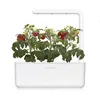 Click & Grow Click & Grow CHYTRÁ ZAHRADA 3 domácí zahrada Náhled obrázku produktu 6