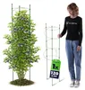 Tuteur KADAX 120 cm, 1 pièce, support pour plantes en métal Voir les images du produit 1