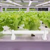 Ikodm Elektrische Gewächshausheizung 55 W, Rohrheizung 500 Produktbild-Vorschau 5