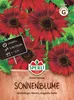 Artikelbild 2 von 'Sonnenblume Velvet Queen' aus der Kategorie Sonnenblumensamen Produktbild-Vorschau