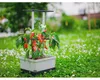 Gusta Garden CHARLY CHILY Standard samozavlažovací truhlík, Náhled obrázku produktu 19