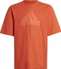 Adidas Tshirts FI Logo Tee JR, HR6296, Größe: 93 Produktbild-Vorschau 1