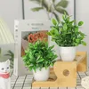 Umělé rostliny, balení 4 kusů, malé umělé rostliny, černé Náhled obrázku produktu 4