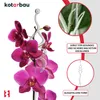KOTARBAU® Lot de 6 supports de plantes Transparent PVC 55 Voir les images du produit 4