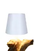 SalesFever Tischleuchte mit LED-Akku | Gestell Treibholz / Produktbild-Vorschau 3