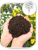 Blumenerde 20 l - Hochwertig - Nährstoffreich - Für Garten Produktbild-Vorschau 3