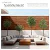 Umělý olivovník Oleand, realistická textura - 210 cm Náhled obrázku produktu 12
