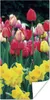 MuchoWow® Poster Frühling - Tulpen - Narzissen 20x40 cm - Produktbild-Vorschau 1