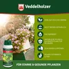 Veddelholzer 1000 ml Premium kaltgepresstes 100% Produktbild-Vorschau 4