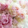 Muralo Vlies Fototapete Pfingstrosen BLUMEN Peonies Produktbild-Vorschau 5
