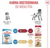 Royal Canin Medium Junior - 4 kg Produktbild-Vorschau 9