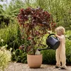 Blumentopf Elho Sereh Kunststoff 39 x 39 x 33,3 cm braun Produktbild-Vorschau 4