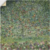 ARTland Wandbild, selbstklebend Apfelbaum I. 1912 Größe: Produktbild-Vorschau 1