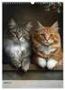 Katzen (Wandkalender 2027 DIN A3 hoch), CALVENDO Produktbild-Vorschau 7