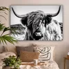 OneMillionCanvasses® - Obrazy na plátně - Kráva - Skotský Náhled obrázku produktu 2