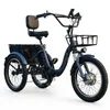 E Bike Dreirad Fat Klapprad E-Bike Lastenfahrrad Produktbild-Vorschau 1