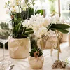 Kolibri Orchids Bílá orchidej Phalaenopsis – Nazaré – Náhled obrázku produktu 4