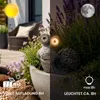 LUMILED Solar Schneck LED Gartenfigur Dekorative Produktbild-Vorschau 7