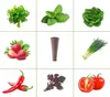 PLANT STARTING KIT INSPEKT Stecklinge 50 Stück HYDROPONIC Produktbild-Vorschau 5