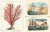 John Derian Sticker Book II Produktbild-Vorschau 2