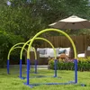 Attrezzature per l'agility per cani PawHut, set per agility Anteprima dell’immagine prodotto 7