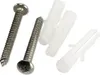 A close-up shot of two screws and two plastic wall anchors on a white background. Voir les images du produit