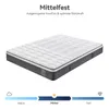 Matratze 160x200 22cm Integrierter Topper Matratze 7 zonen Produktbild-Vorschau 3