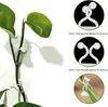100 Stück Pflanzen-Kletterwandhalterung Wandranken Produktbild-Vorschau 3