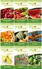 Obstsamen Set - 9 Sorten Samen - Saatgut Sortiment - Produktbild-Vorschau 2