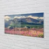 Glasbilder 100x50 Wandkunst Top-Box Häuser Produktbild-Vorschau 2