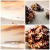 Bilder auf glas - Strand schön karibisch bunt - 100x70cm - Produktbild-Vorschau 8