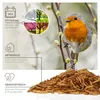 wildtier liebe Edel Mehlwürmer getrocknet 2 x 5L I Produktbild-Vorschau 2