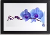 Bild 30x20 MDF-Rahmen Wandkunst Blumen Pflanzen Produktbild-Vorschau 1