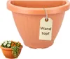 Blumentopf Wand Wandvase Wandblumentopf Blumentopf Produktbild-Vorschau 1