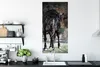 MuchoWow® Poster Pferde - Friesisch - Halfter 60x120 cm - Produktbild-Vorschau 3