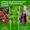 TTL GARDEN Foliengewächshaus 195x143x73cm – 6 Etagen grün Produktbild-Vorschau 5