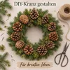 Tannenzapfen 1 kg ca. 50-70 Stk 5-6 cm Pinus nigra Produktbild-Vorschau 5