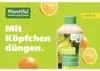 Zitrus- und Kübelpflanzendünger manna Plantiful 700 g für Produktbild-Vorschau 6