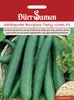 Salatgurke Burpless Tasty Green F1 | Salatgurkensamen von Produktbild-Vorschau 3