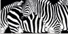 ARTland Glasbild Zebrastreifen Größe: 60x30 cm Produktbild-Vorschau 1