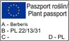 Berberys Thunberga  Atropurpurea 1L Podgląd zdjęcia produktu 10