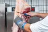 F. DICK Ausbeinmesser Steif Metzgermesser ErgoGrip Klinge Produktbild-Vorschau 2