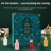 BOXILAND® Gin Adventskalender 2026 mit 24 Sorten à 0,02 l Produktbild-Vorschau 4