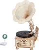 A wooden model of a classical gramophone with a record on the turntable, shown on a white background. A small stack of CDs and a green lightning bolt icon are to the left. Podgląd zdjęcia produktu