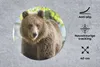 MuchoWow® Mauspad Mousepad Bär - Braun - Wald 40x40 cm - Produktbild-Vorschau 2