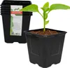 A stack of black plastic plant pots with a single pot in the foreground containing a small green plant. Podgląd zdjęcia produktu