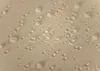 Tischdecke mit Lotuseffekt Leinenoptik wasserabweißend Produktbild-Vorschau 2