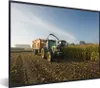 MuchoWow® Gerahmtes Poster Traktor - Anhänger - Mais - Grün Produktbild-Vorschau 1